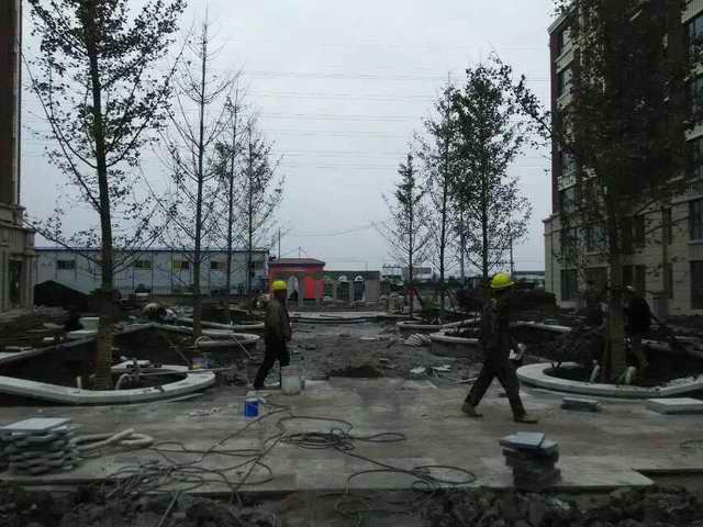 山东凤成银杏苗圃场